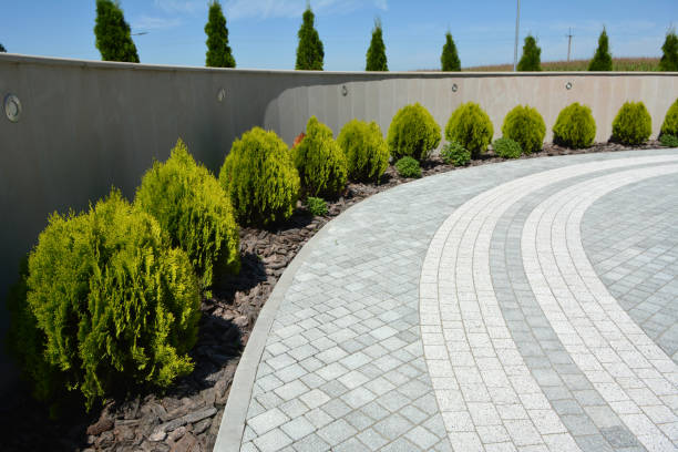 Best Driveway Paving Contractor  in Hudson, FL